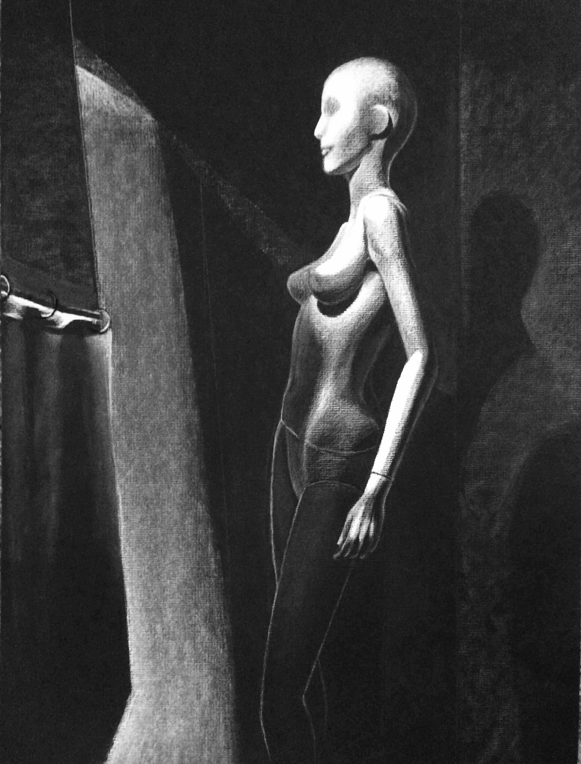 COLLECTION MANNEQUINS ET VITRINES